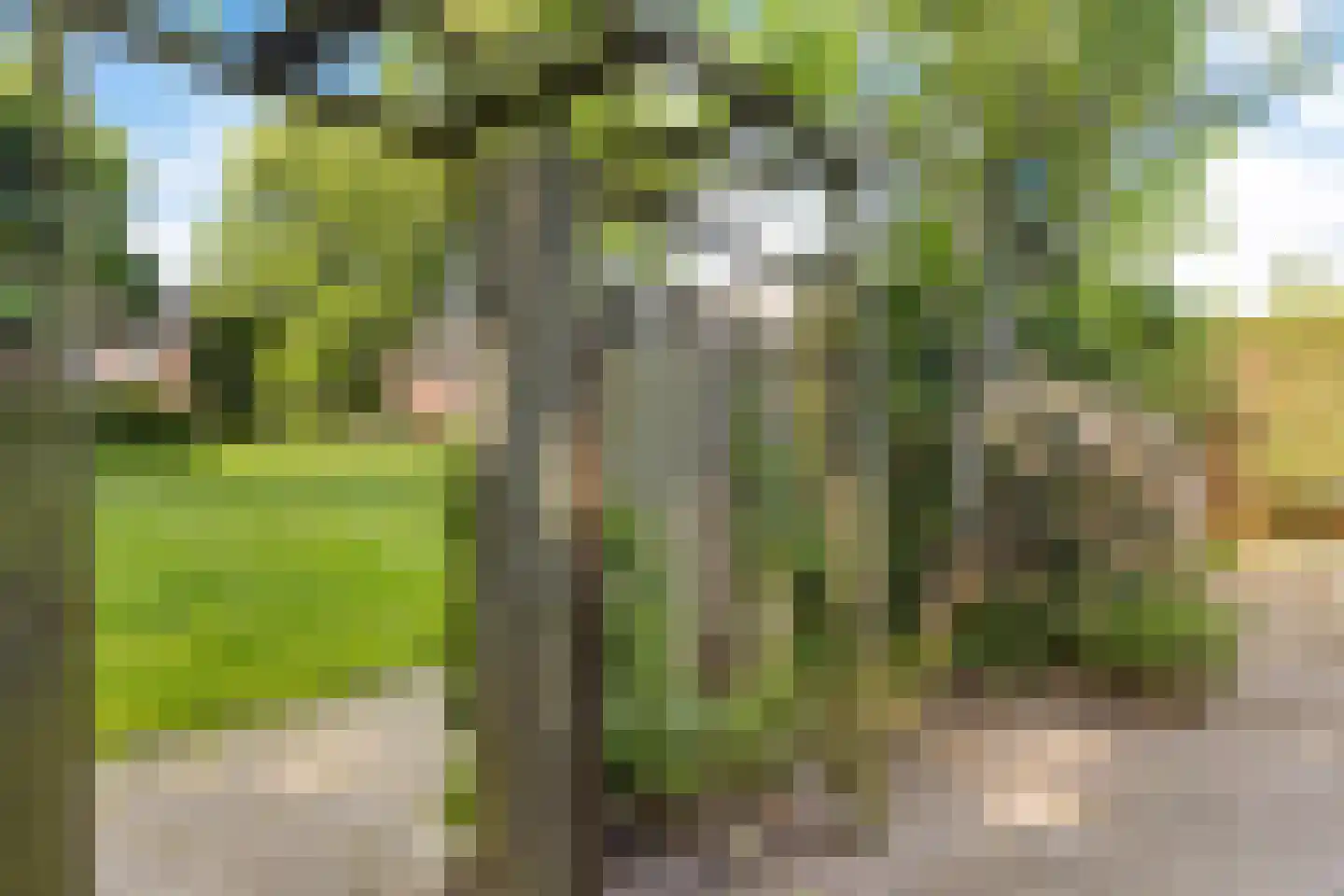 Schuur 110 Drachten thumbnail 47