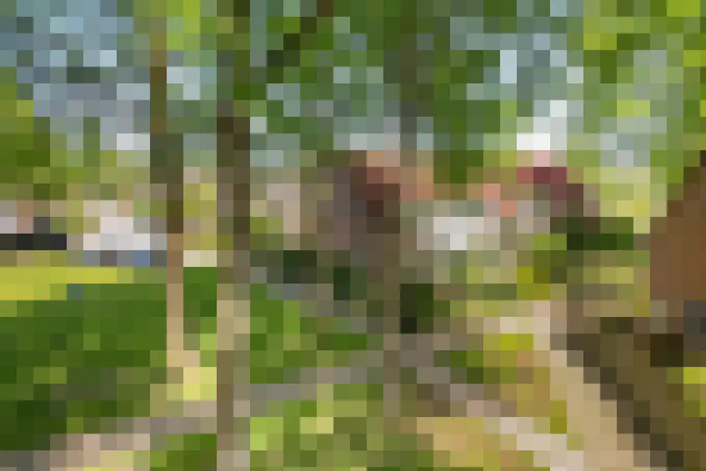 Schuur 110 Drachten thumbnail 5