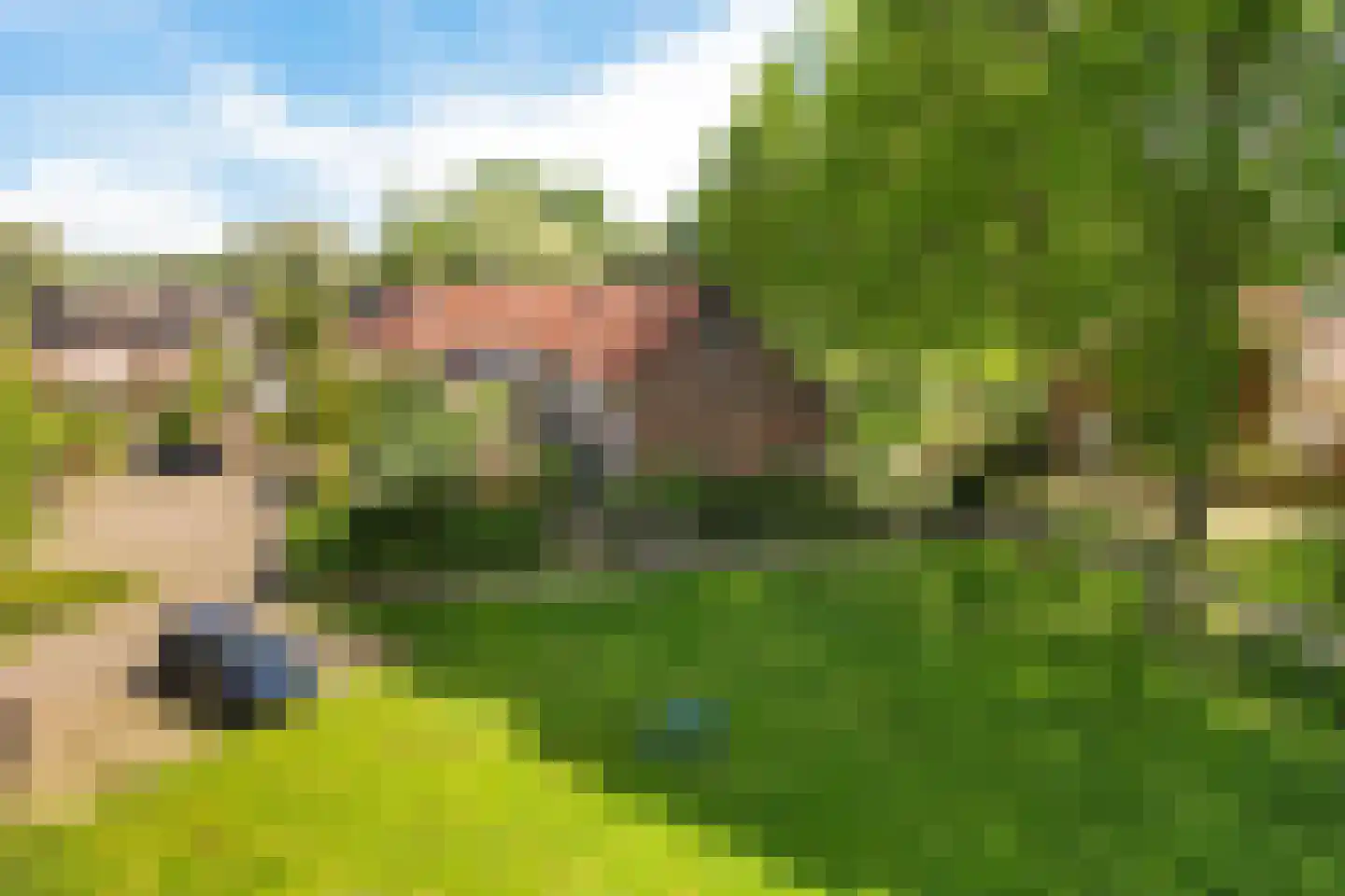 Schuur 110 Drachten thumbnail 6