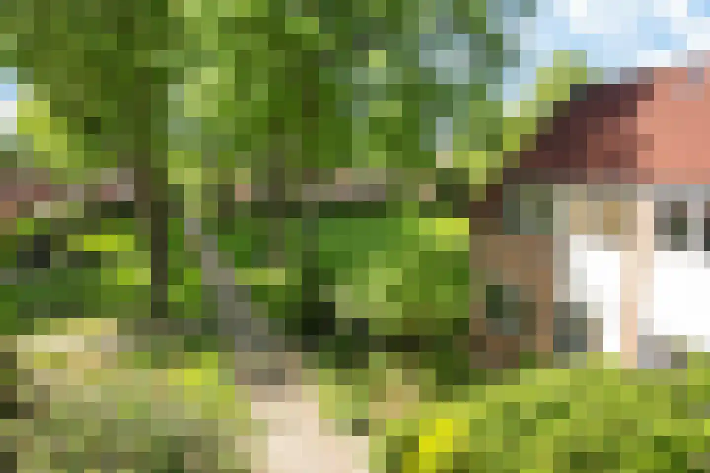 Schuur 110 Drachten thumbnail 8