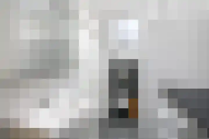 Schuur 131 Drachten thumbnail 13