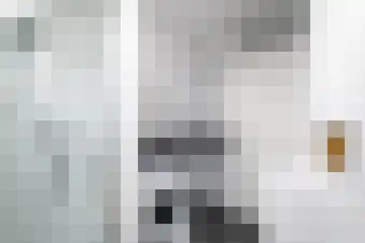 Schuur 131 Drachten thumbnail 14