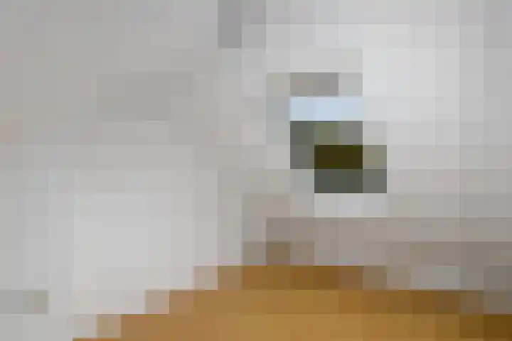 Schuur 131 Drachten thumbnail 21