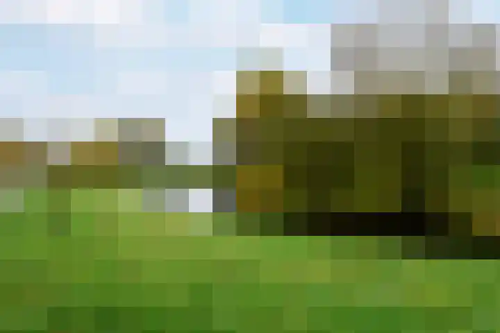 Schuur 131 Drachten thumbnail 28