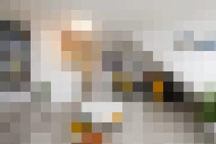 Schuur 131 Drachten thumbnail 4