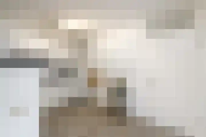 Schuur 131 Drachten thumbnail 8