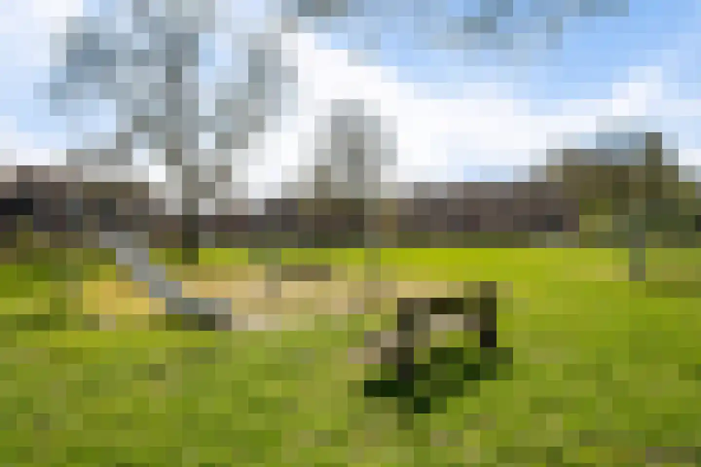 Schuur 87 Drachten thumbnail 47