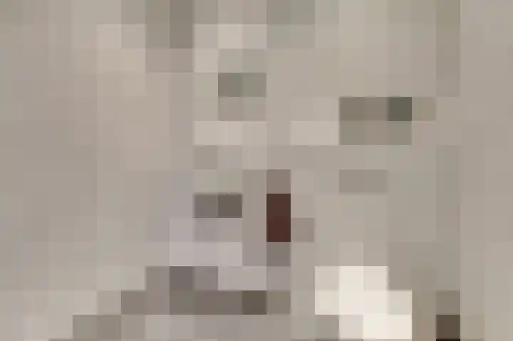 Schuurakker 15 Kerkwijk thumbnail 22