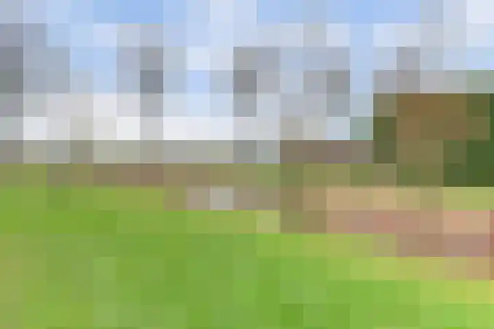 Schuurakker 15 Kerkwijk thumbnail 36
