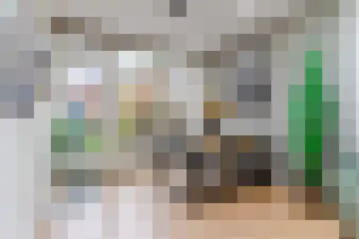 Schuurakker 16 Heeswijk-Dinther thumbnail 12