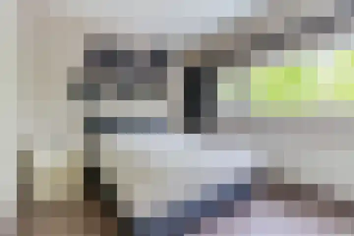 Schuurakker 16 Heeswijk-Dinther thumbnail 20