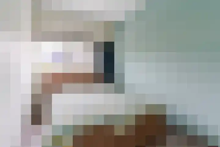 Schuurakker 16 Heeswijk-Dinther thumbnail 22