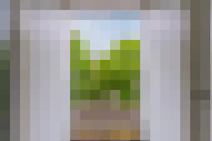 Schuurakker 16 Heeswijk-Dinther thumbnail 31