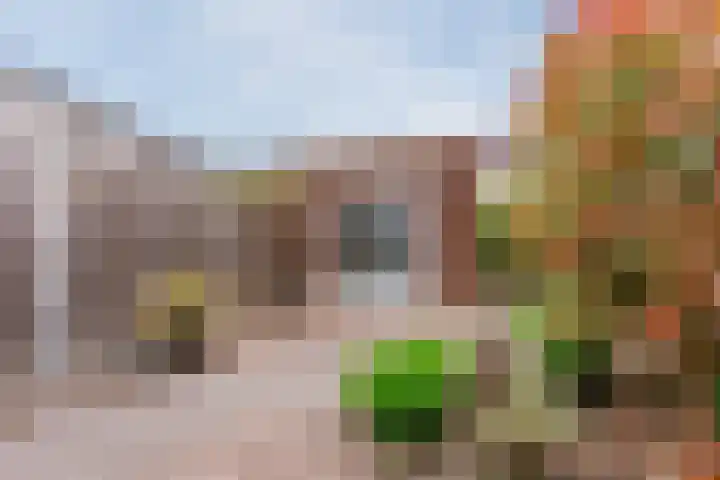 Schuurakker 16 Heeswijk-Dinther thumbnail 36