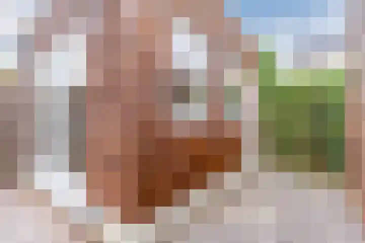 Schuurakker 16 Heeswijk-Dinther thumbnail 38