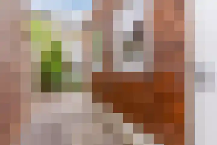 Schuurakker 16 Heeswijk-Dinther thumbnail 39