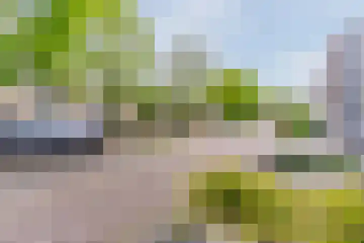 Schuurakker 16 Heeswijk-Dinther thumbnail 42