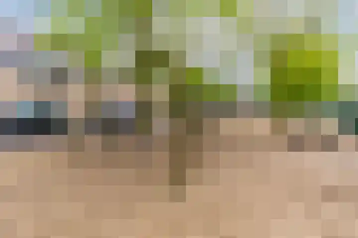 Schuurakker 16 Heeswijk-Dinther thumbnail 43