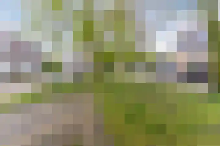 Schuurakker 16 Heeswijk-Dinther thumbnail 45