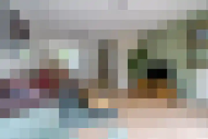 Schuurakker 16 Heeswijk-Dinther thumbnail 8