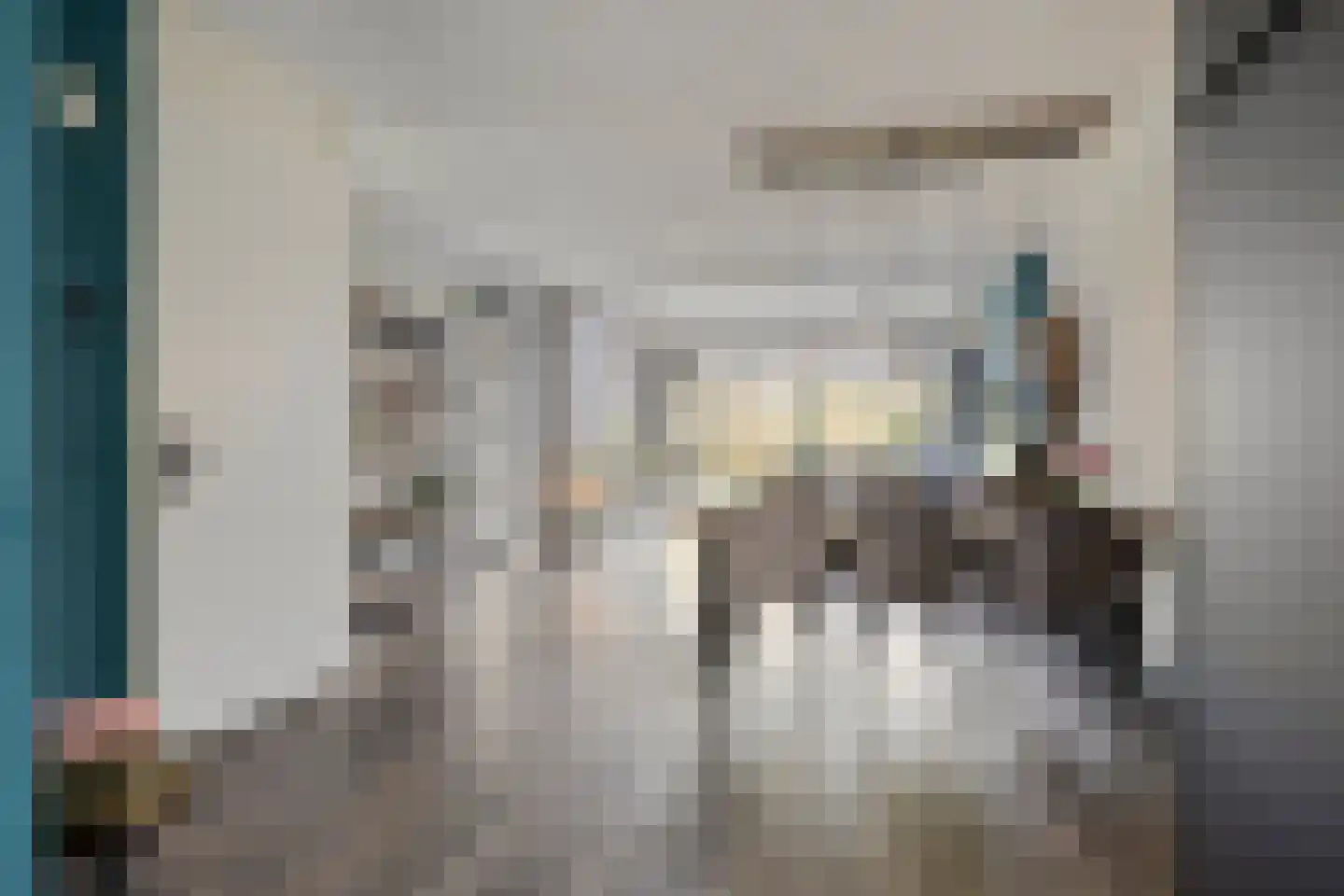Schuurakker 18 Heeswijk-Dinther thumbnail 18