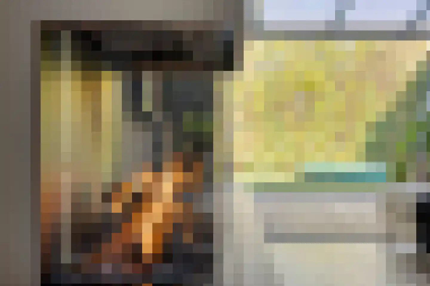 Schuurakker 18 Heeswijk-Dinther thumbnail 21