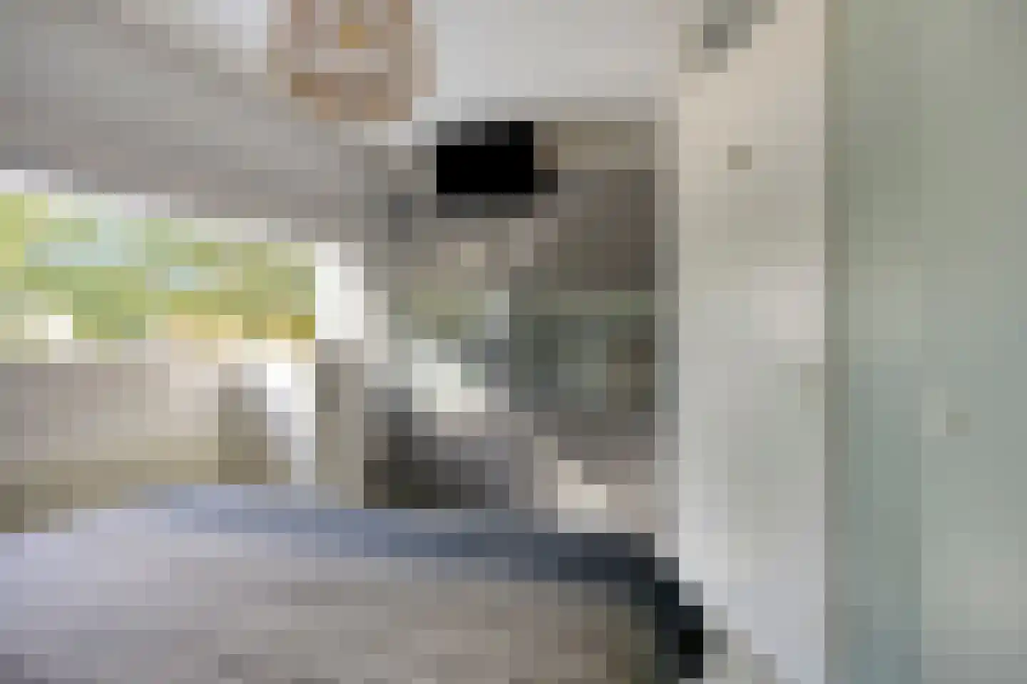 Schuurakker 18 Heeswijk-Dinther thumbnail 37