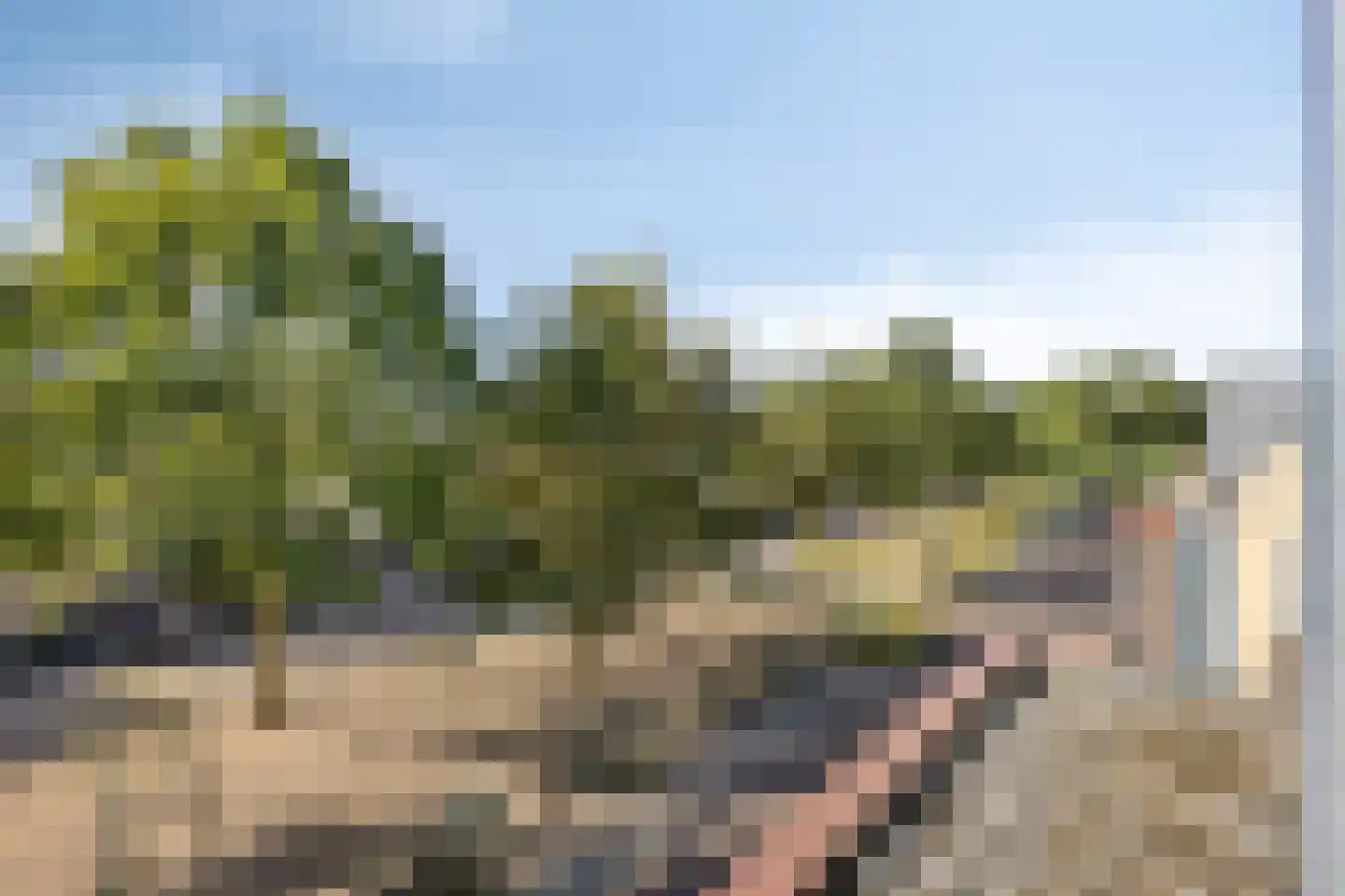 Schuurakker 18 Heeswijk-Dinther thumbnail 48