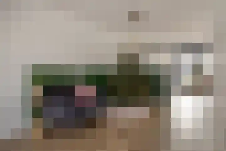 Schuurakker 3 Heeswijk-Dinther thumbnail 16