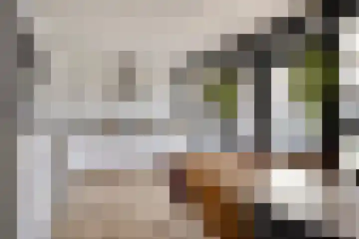 Schuurakker 3 Heeswijk-Dinther thumbnail 18