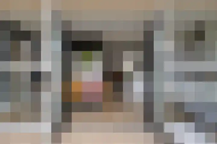 Schuurakker 3 Heeswijk-Dinther thumbnail 20