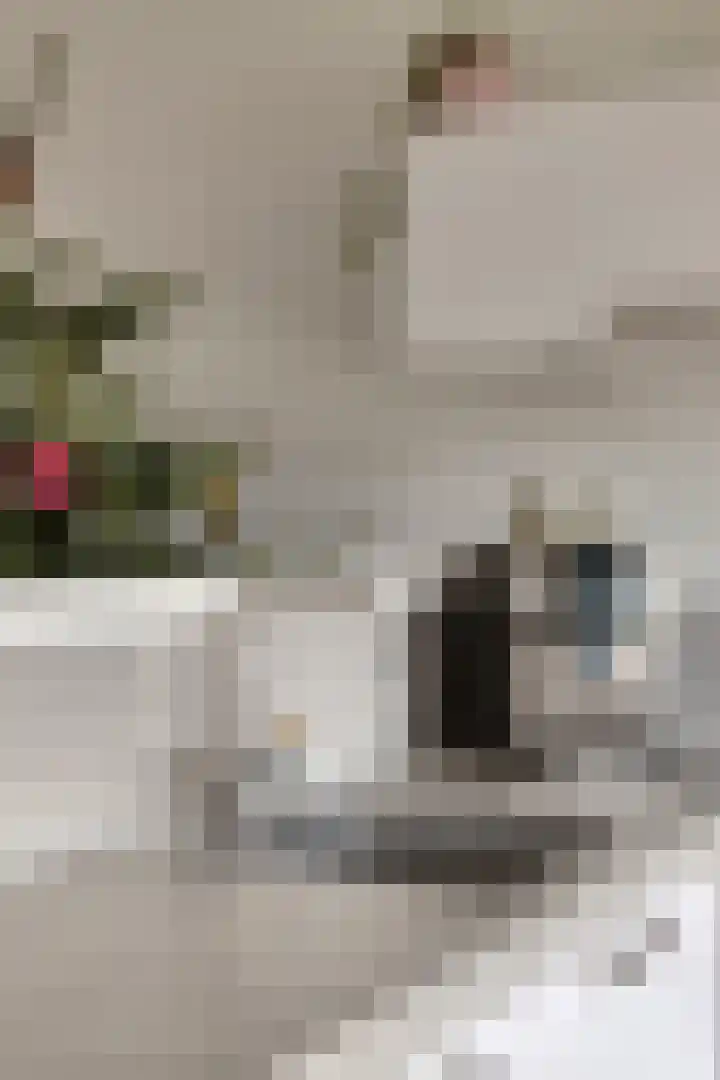 Schuurakker 3 Heeswijk-Dinther thumbnail 23