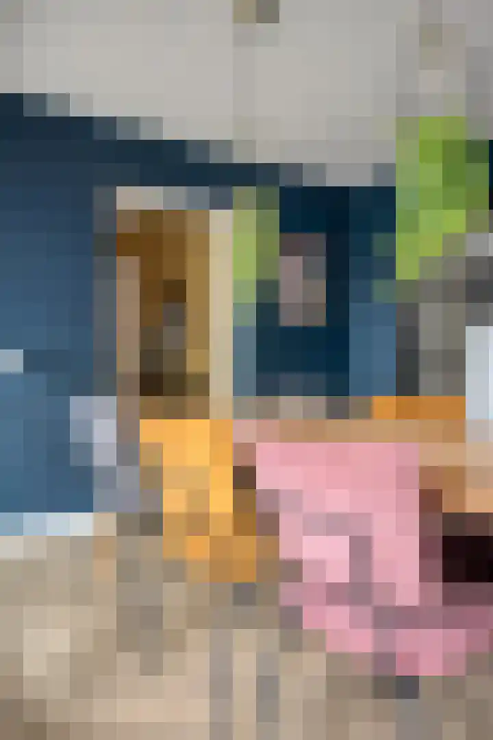 Schuurakker 3 Heeswijk-Dinther thumbnail 24