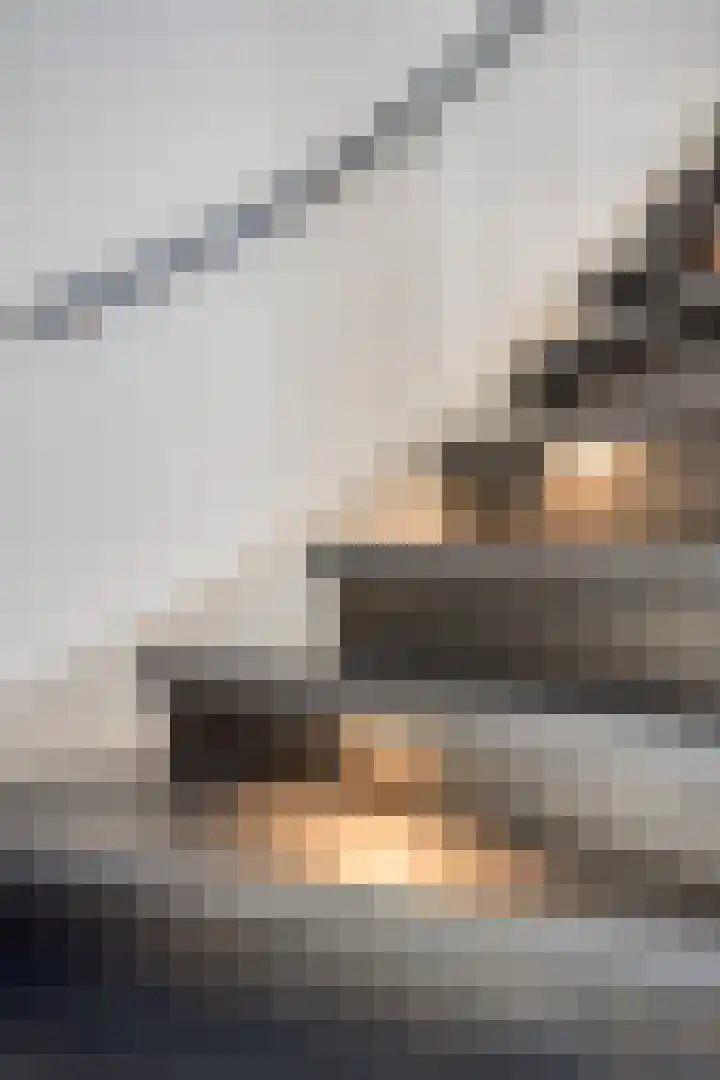 Schuurakker 3 Heeswijk-Dinther thumbnail 29
