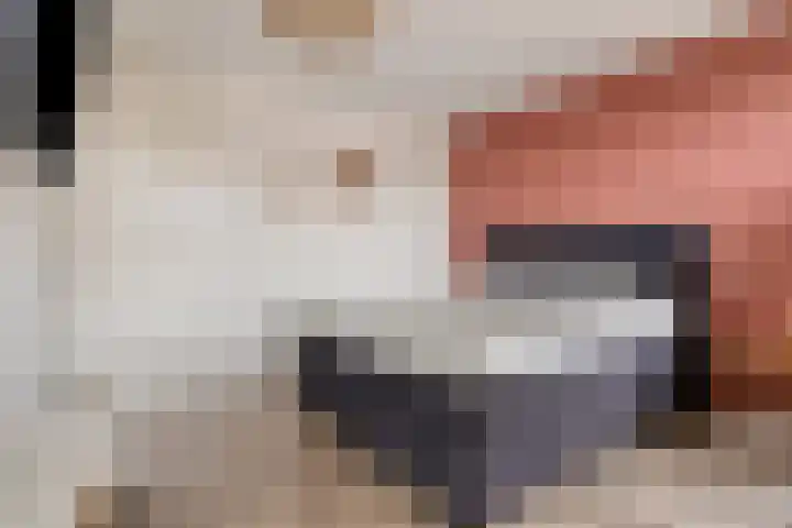 Schuurakker 3 Heeswijk-Dinther thumbnail 31