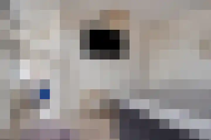 Schuurakker 3 Heeswijk-Dinther thumbnail 33