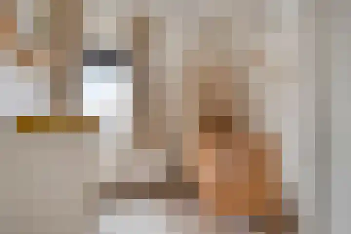 Schuurakker 3 Heeswijk-Dinther thumbnail 37