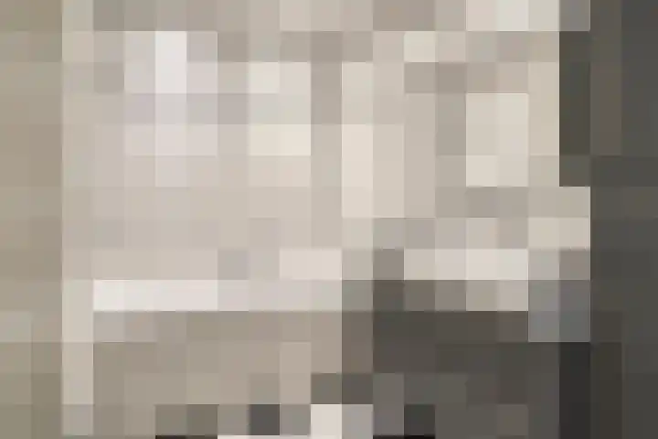 Schuurakker 3 Heeswijk-Dinther thumbnail 39