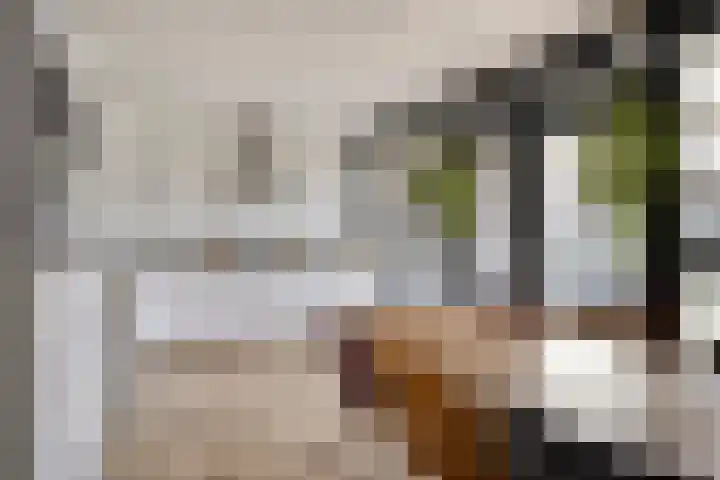 Schuurakker 3 Heeswijk-Dinther thumbnail 4