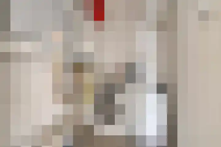 Schuurakker 3 Heeswijk-Dinther thumbnail 41