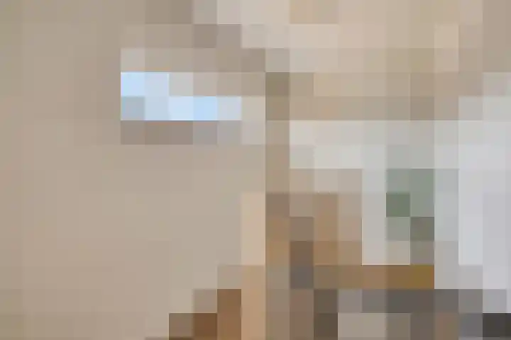 Schuurakker 3 Heeswijk-Dinther thumbnail 42
