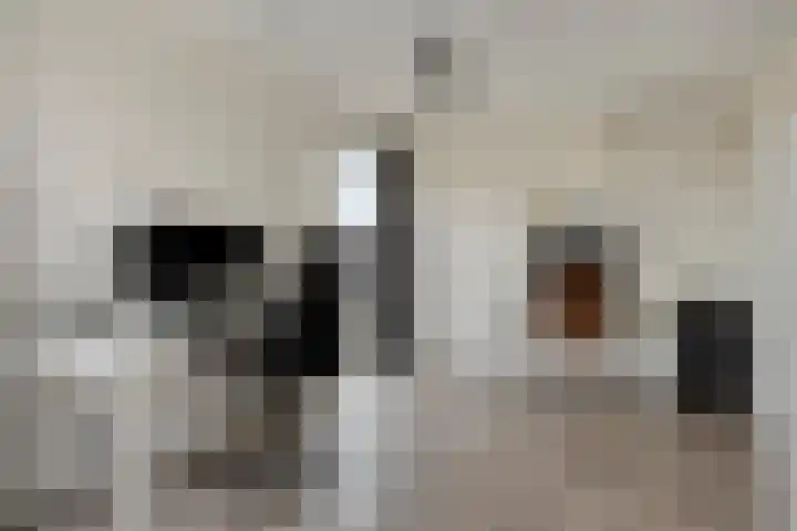 Schuurakker 3 Heeswijk-Dinther thumbnail 45