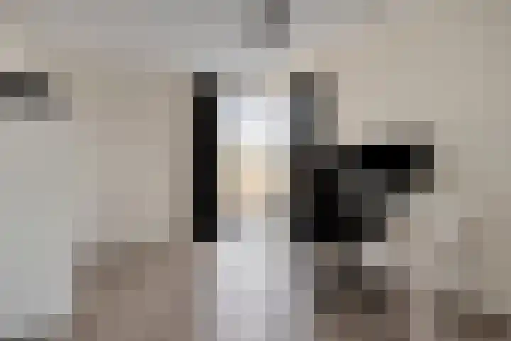 Schuurakker 3 Heeswijk-Dinther thumbnail 46
