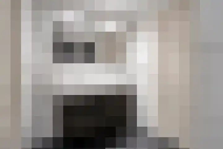 Schuurakker 3 Heeswijk-Dinther thumbnail 47