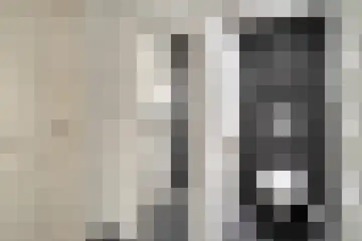Schuurakker 3 Heeswijk-Dinther thumbnail 48