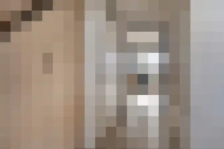 Schuurakker 3 Heeswijk-Dinther thumbnail 5
