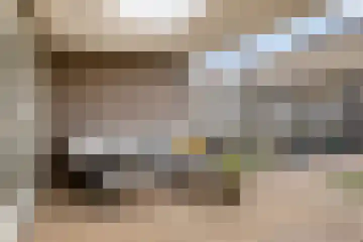 Schuurakker 3 Heeswijk-Dinther thumbnail 51