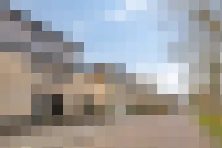 Schuurakker 3 Heeswijk-Dinther thumbnail 56