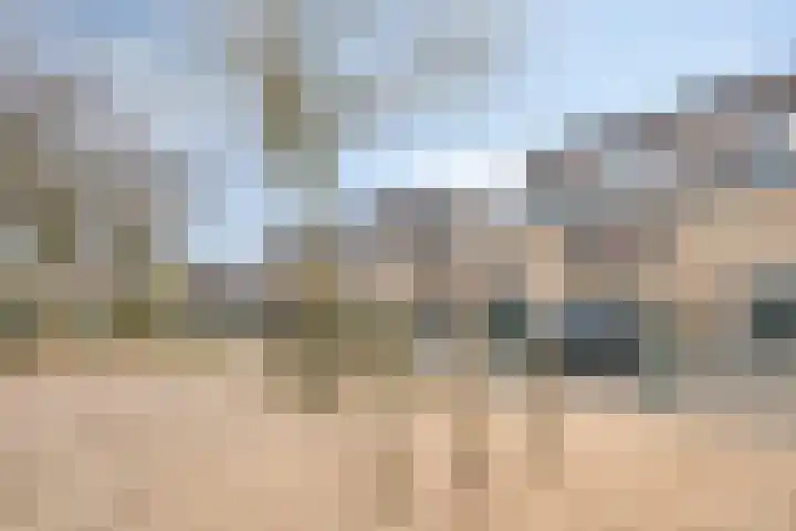 Schuurakker 3 Heeswijk-Dinther thumbnail 57