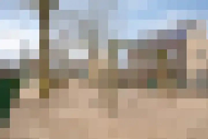Schuurakker 3 Heeswijk-Dinther thumbnail 58